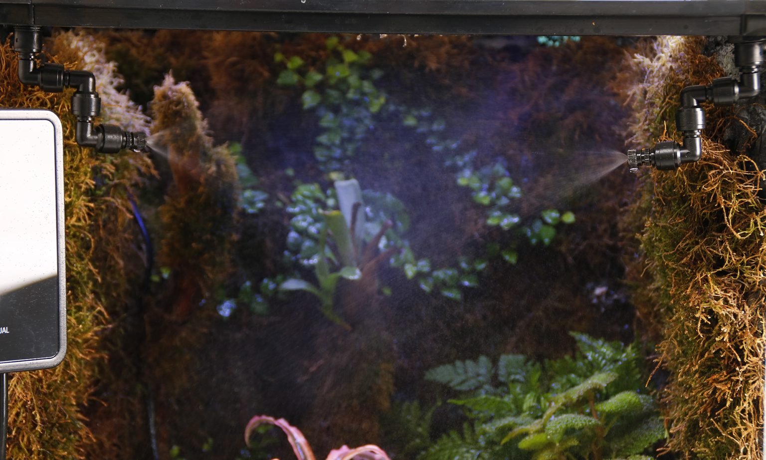 Creating the Perfect Environment A Guide to Managing Humidity in Your